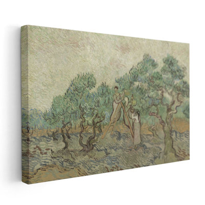 The Olive Orchard, 1889 - reproduction d'art sur toile