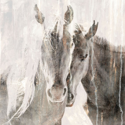 Horse Essence 1 Photographic Print Canvas