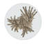 Caribe Glass End Table