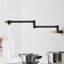 Robinet de remplissage en laiton, robinet de remplissage de robinet noir et or, robinets de robinet de cuisine pliables à fixation murale, robinet de remplissage rétractable à un trou avec deux poignées pour le poêle de l'évier