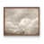 Noyer