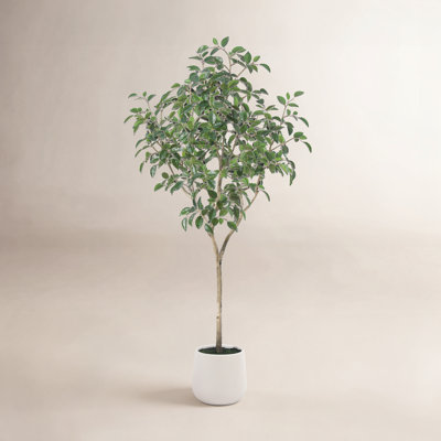 Anasta Faux Ficus Tree with Oval White Planter, Pre Potted Faux Greenry Plant for Home Decor