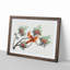 Birds of China - Picture Frame Painting Print-55501138-55501141