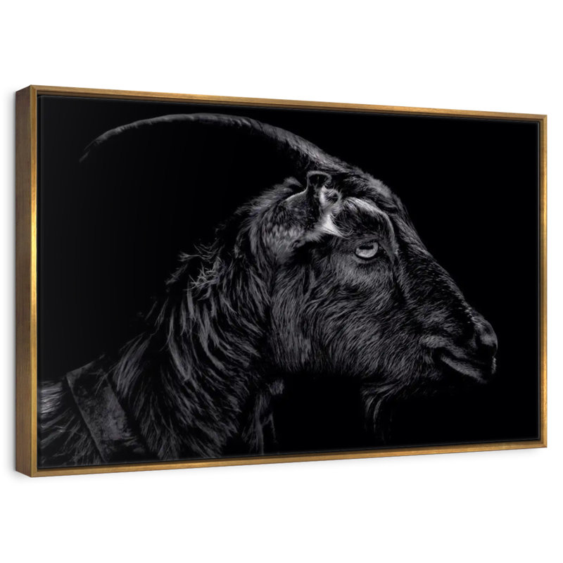 Monochrome Horned Goat, Floating Frame Gold, 13" X 9"