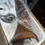 Customer photo 2 of 6