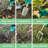Garden Tool Set Of 10 Pieces