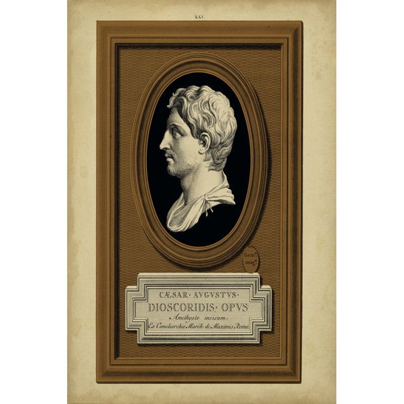 Greek Cameo II by June Erica Vess - Wrapped Canvas Print,  46cm H  x  30cm W  