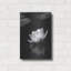 Art luxueux «Water Lily BW» par istvan nagy-449913197