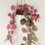 Hanging Plants 90cm Faux Plant in Planter