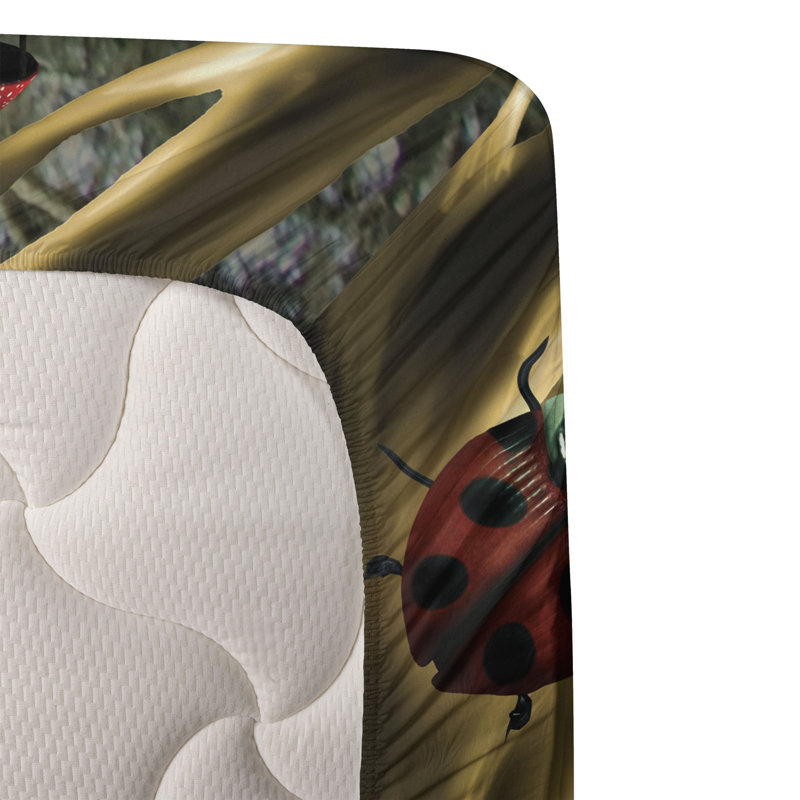 Microfiber Sheet Set, Queen Sheet Set + Fitted Sheet + 2 Pillowcases