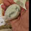 Customer photo 5 of 12
