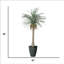 Dragon artificiel 88 po en pot