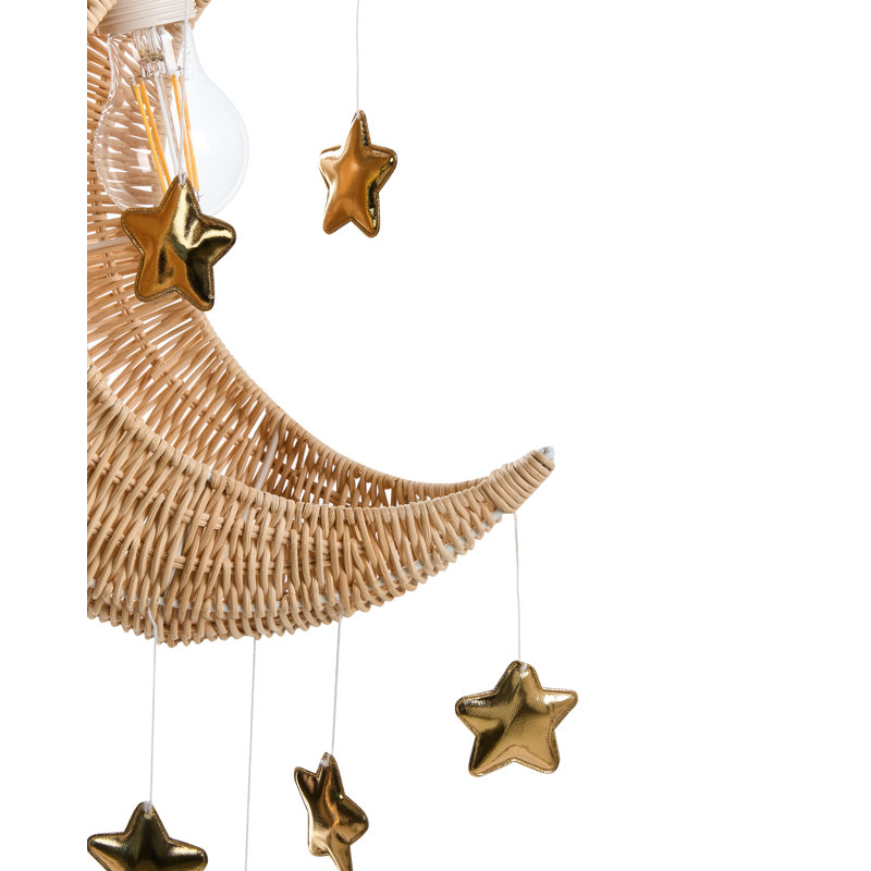 1 - Light Natural Novelty Pendant