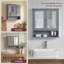 Kemp 56 mm W 58 mm H Mirrored Bathroom Cabinets and 2