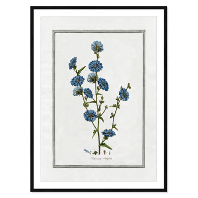 Colombe "Soft Botanical I" Print