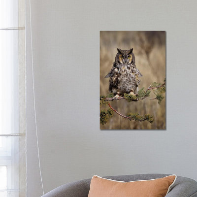 Look Who's There by Jonathan Ross Photography - Wrapped Canvas Print