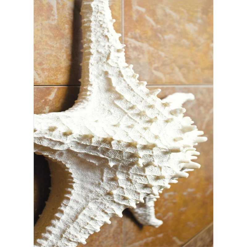 Décoration 3D étoile de mer, H 13,78 po x l 13,58 po x P 3,94 po