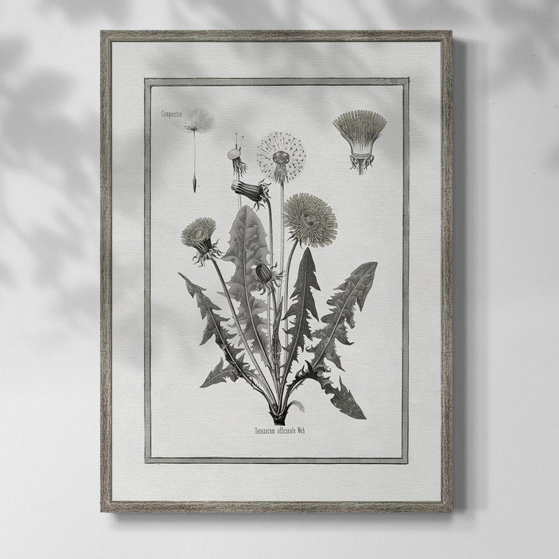 Dandelion I, reproduction encadrée - bois massif 50200, H 11 po x l 9 po