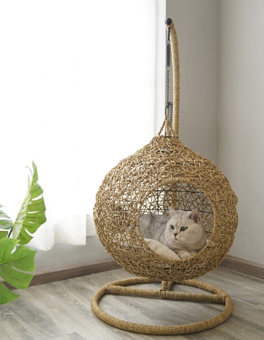 Cat 2025 hanging chair