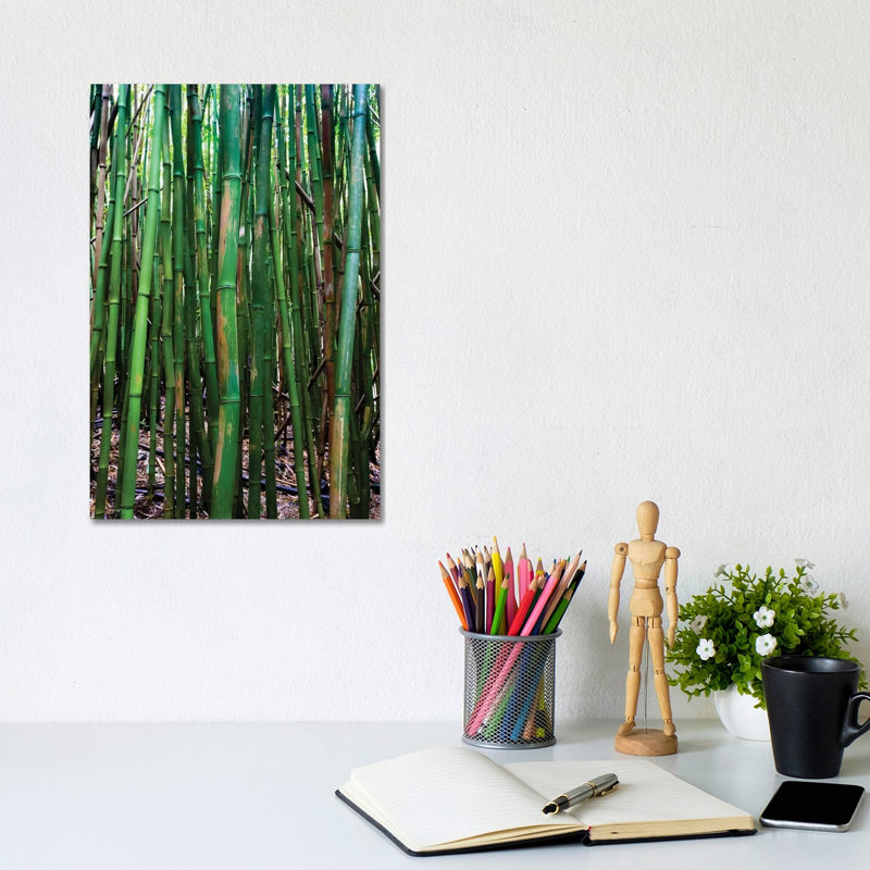 Bamboo Trees, Maui, Hawaii, USA III by Panoramic Images - Wrapped Canvas Print, 20.32 cm H x 30.48 cm W