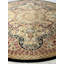 Kassadie Oriental Area Rug