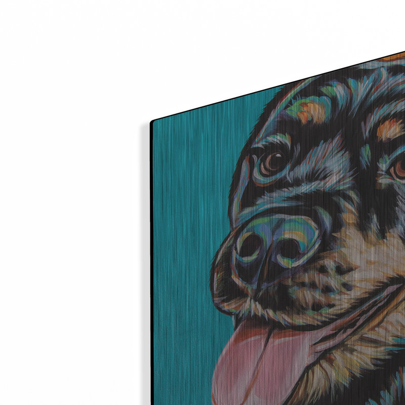 "Rottweiler" par Carolee Vitaletti, H 12 po x l 12 po