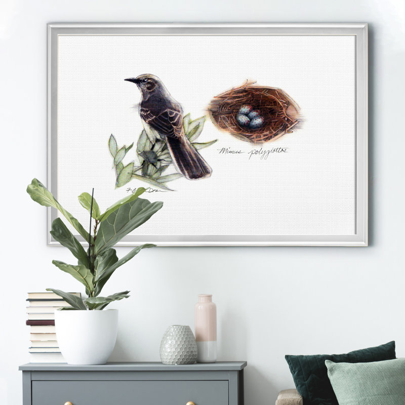 «Bird and Nest Study I», impression sur toile encadrée, Argent, H 22,5 po x l 30,5 po x P 1,5 po