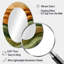 Miroir mural ovale vert-446952812