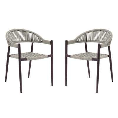 Demica 22" Width PE Wicker Outdoor Arm Chairs by Mercer41