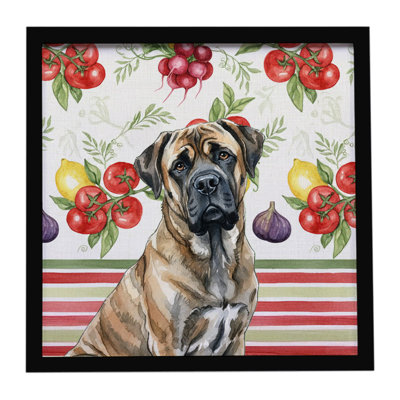 Brindle mastiff légumes, impression sur métal encadrée