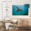 Tortue de mer Brampt Martinique-108690406