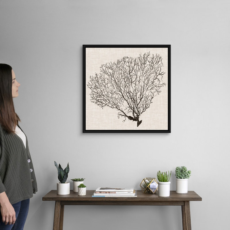 Art mural sur toile Shadow Sea Fan IV, Cadre noir, H 26 po x l 26 po x P 2 po