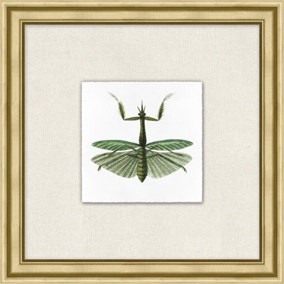 Flying Specimen 5 Print by Lillian August