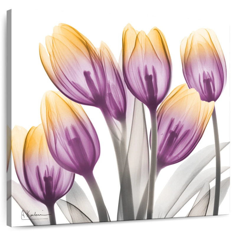 Harnek Sunrise Tulips II, H 10 po x l 10 po