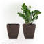Ensemble de boîtes à fleurs 2 pièces-2137688232
