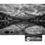 Murale auto-adhésive moderne pour la chambre à coucher Peel and Stick L 100 po x l 144 po