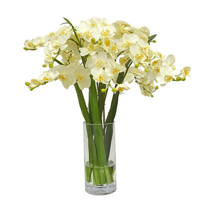 Vase Orchidée