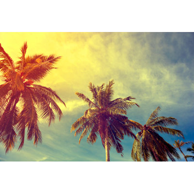 " Vintage Palm Trees " by Kaliostro