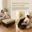 Repose-pieds de rangement moderne en similicuir capitonné beige à deux tons, tabouret avec repose-pieds avec base brun foncé et pieds en bois massif, banc de rangement rectangulaire rembourré pour salon