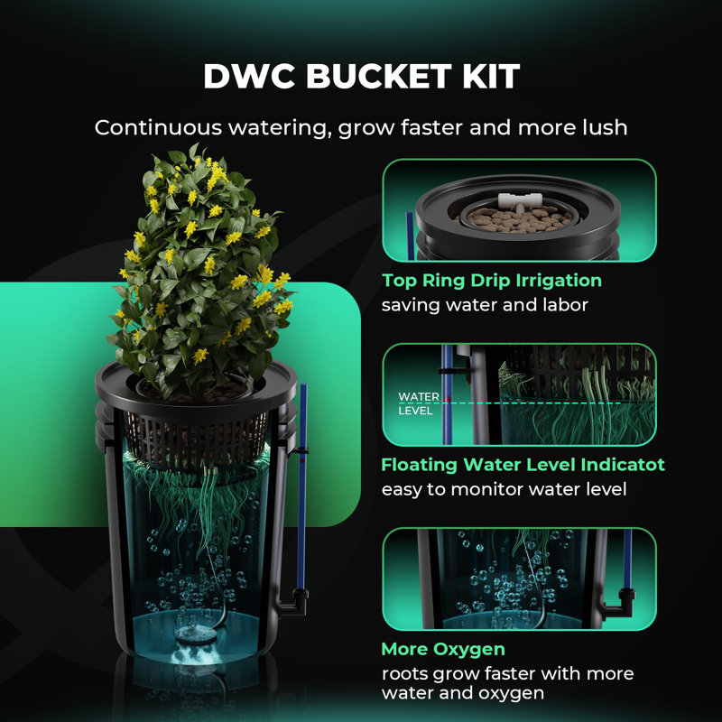 Black 5-Gallon Hydroponics Grow System with Air Pump