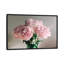 « rose pivoines on white i » sur toile-29641296-74411636-74411637