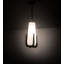 Mini-luminaire suspendu 8 po l Blumeklaue
