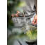 Click Modern Kitchen Hand Spray-102762030