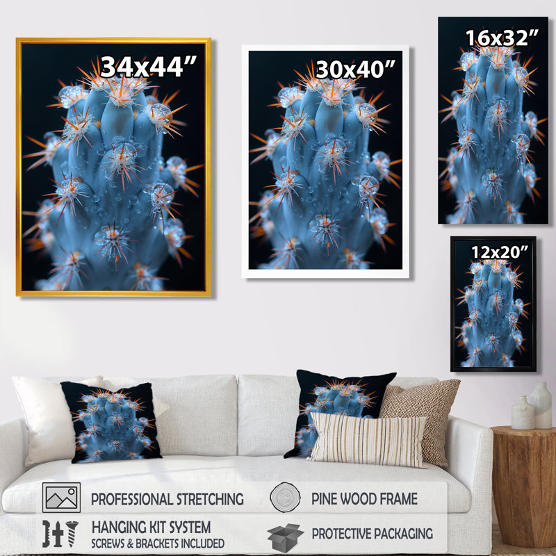 Cactus monochrome orange, bleu, désert, lueur I - cactus floral, salon, Toile encadrée noire simple
