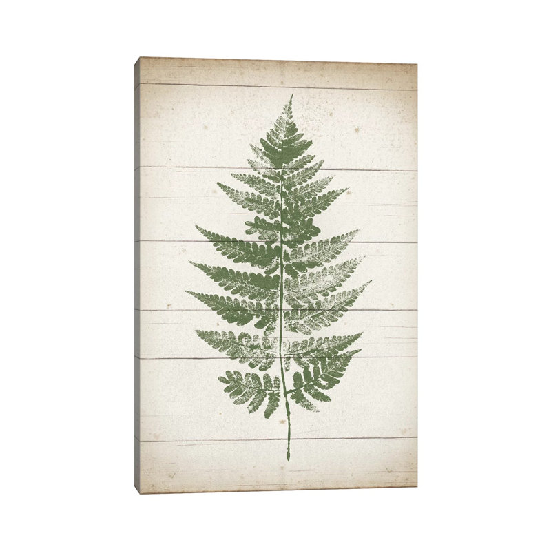 Fern Print I by Moira Hershey - Wrapped Canvas Painting, 20.32 cm H x 30.48 cm W