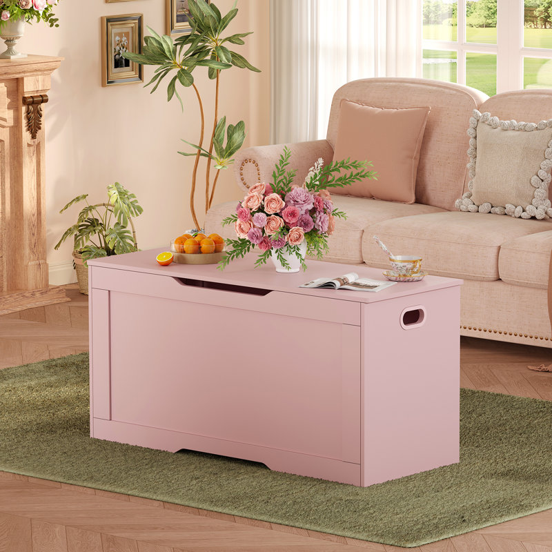 Coffre de rangement avec 2 charnières de sécurité, banc de rangement à plateau relevable, coffre de rangement pour chambre à coucher