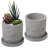 Indoor Unglazed Cement Pot Planter Set-1678347781