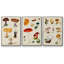 " Mushroom Species VI " 3 - Pieces-91891309-91891306