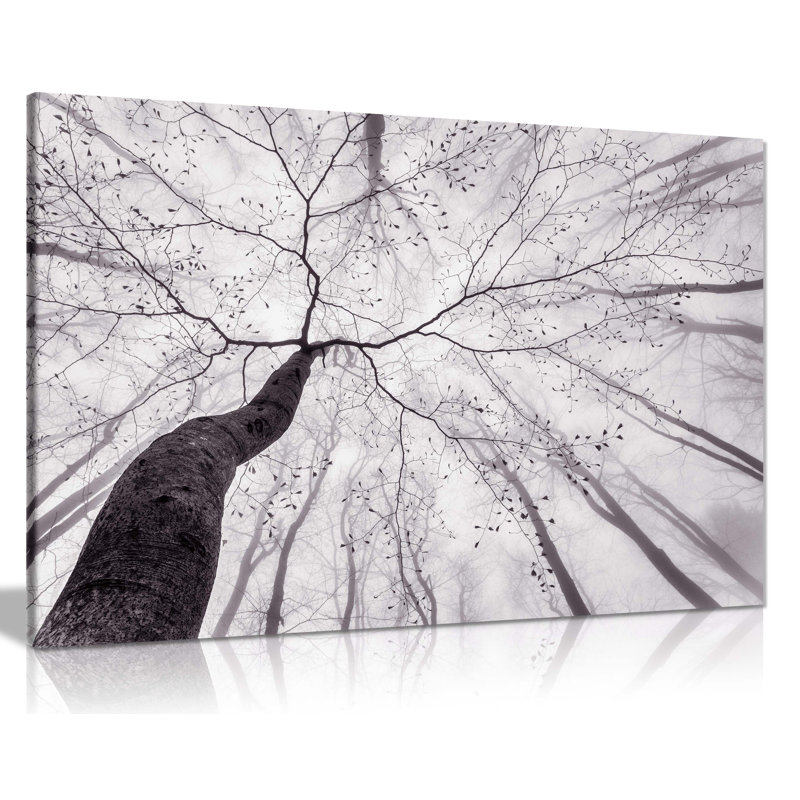 Monochrome Black And White Tree Trunksin A Foggy Forest - Wrapped Canvas Print, 31cm H x 46cm W