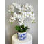 Phalaenopsis Floral Arrangement